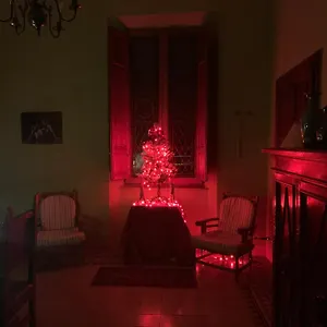 Casa Benvenuti Pisa